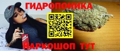 mdpv Бийск