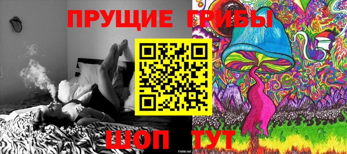 Кимовск  Псилоцибиновые грибы GOLDEN TEACHER  Галлюциногенные грибы Psilocybe  Вход с VPN 